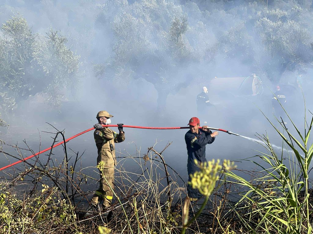 Μεσσηνία: Χωρίς ενεργό μέτωπο η φωτιά στον Μελιγαλά – Δύο προσαγωγές