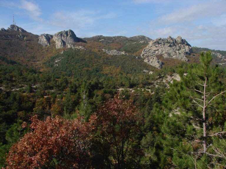 Dadia Trail Run 2025: “Τρέχουμε για τη φύση με αποστολή την ελπίδα – Αναγεννάμε το δάσος της Δαδιάς”