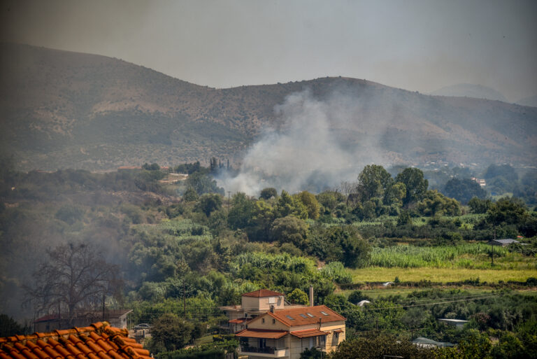 Υπό μερικό έλεγχο οι πυρκαγιές σε Άρτα και Πρέβεζα