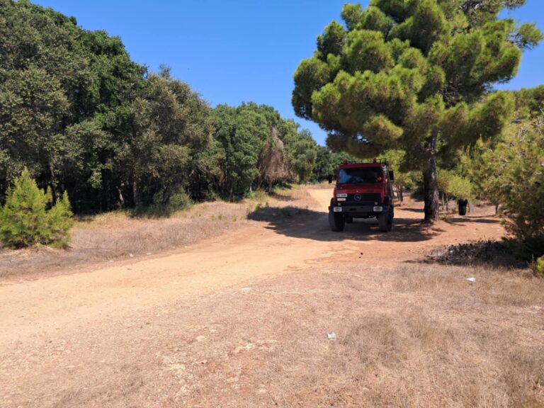 Υψηλός κίνδυνος πυρκαγιάς στη Δυτική Ελλάδα – Σε ποιες περιοχές απαγορεύεται η κυκλοφορία