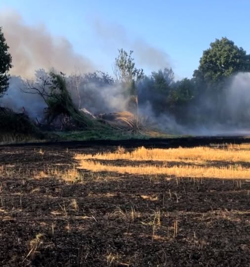 Επιχειρούν 38 Πυροσβέστες και 11 οχήματα.