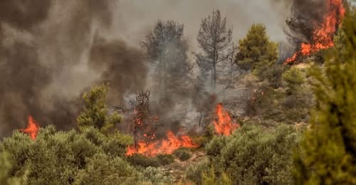 Φωτιά τώρα στην περιοχή Λιβάρτζι Αχαΐας