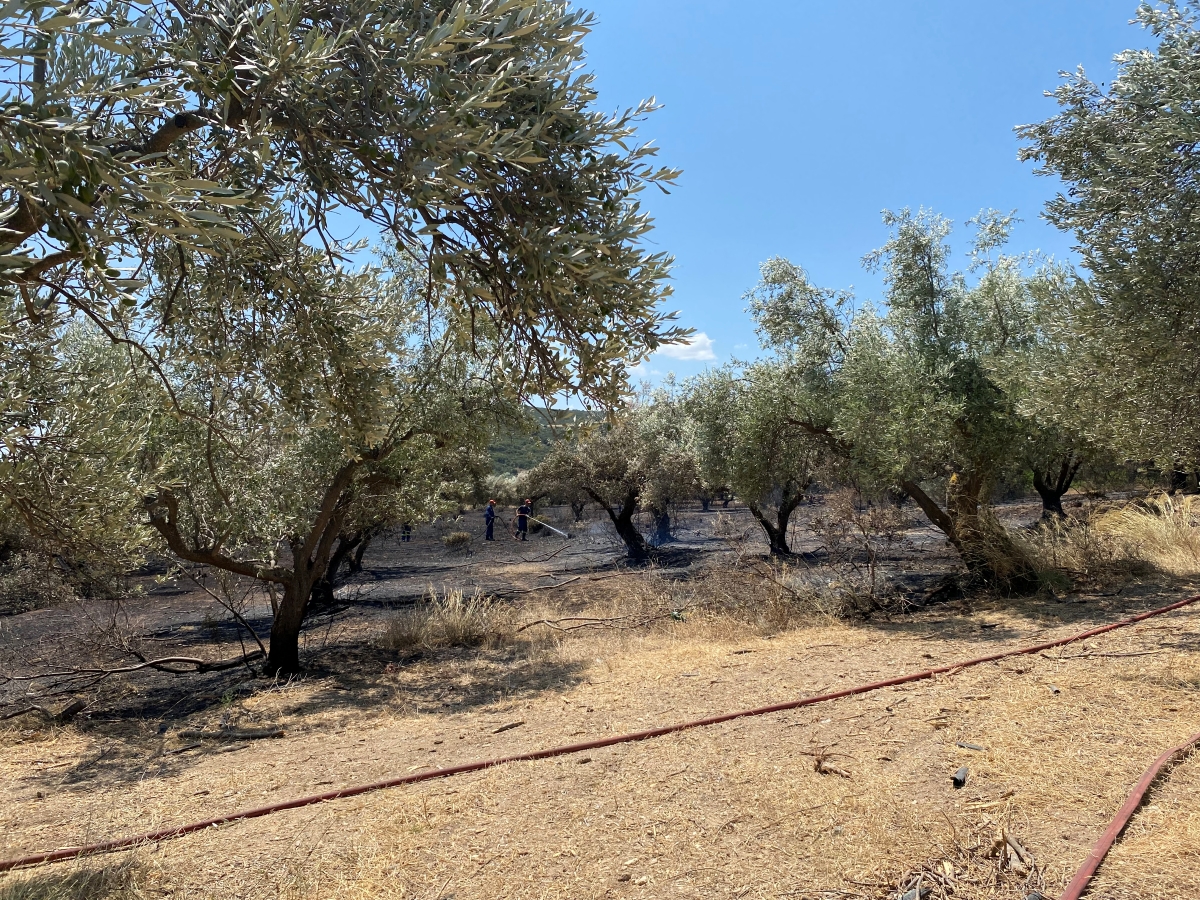 Στο «κόκκινο» για κίνδυνο πυρκαγιάς όλη σχεδόν η Περιφέρεια της Πελοποννήσου