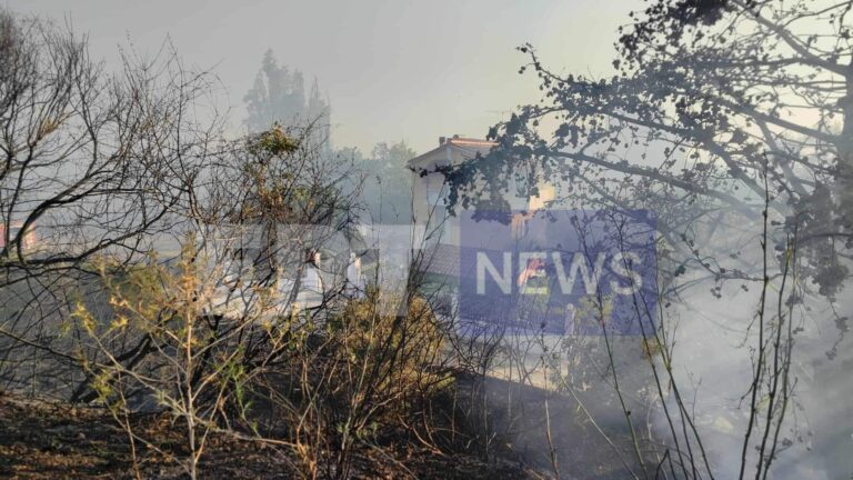 Πρέβεζα: Μάχη με τις φλόγες στη Βρυσούλα – Επιφυλακή σε Καστροσυκιά και Στεφάνη – Μηνύματα “112” – Επί ποδός ισχυρές δυνάμεις πυρόσβεσης για συνολικά 5 φωτιές