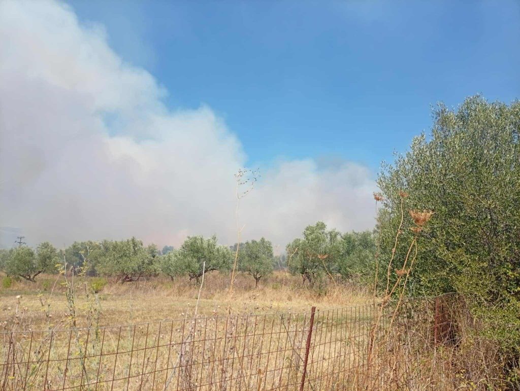 Φωτιά τώρα στην Ανθούσα Μεσσηνίας: 112 για απομάκρυνση κατοίκων από Σπάρτακο και ΒΙ.ΠΕ Μελιγαλά – Πλησιάζει σε σπίτια του Μελιγαλά