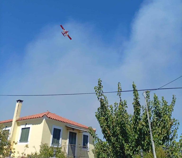 Φωτιά τώρα στην Ανθούσα Μεσσηνίας: 112 για απομάκρυνση κατοίκων από Σπάρτακο και ΒΙ.ΠΕ Μελιγαλά – Πλησιάζει σε σπίτια του Μελιγαλά