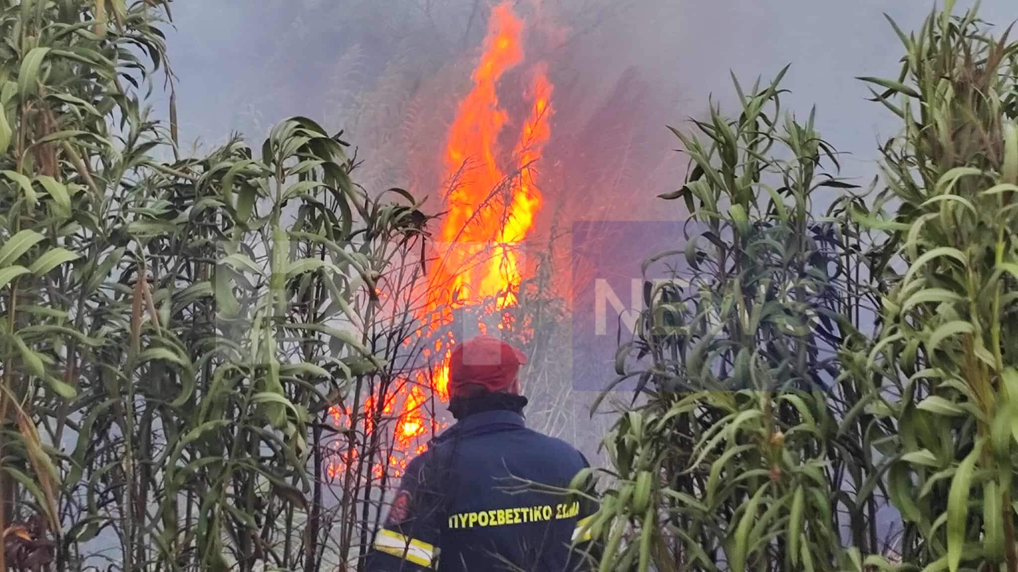 Πυρκαγιά τώρα στη Φραξιά Βόνιτσας