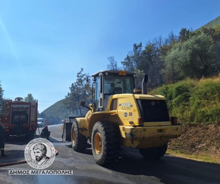 Δήμαρχος Μεγαλόπολης για τις φωτιές στην περιοχή: «Έχουμε ενδείξεις για εμπρησμό»
