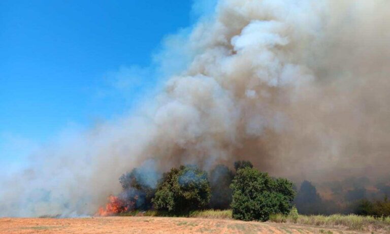 Φωτιά τώρα σε χαμηλή βλάστηση στα Λεχαινά Ηλείας – Καλύτερη η εικόνα της πυρκαγιάς, ήχησε το 112