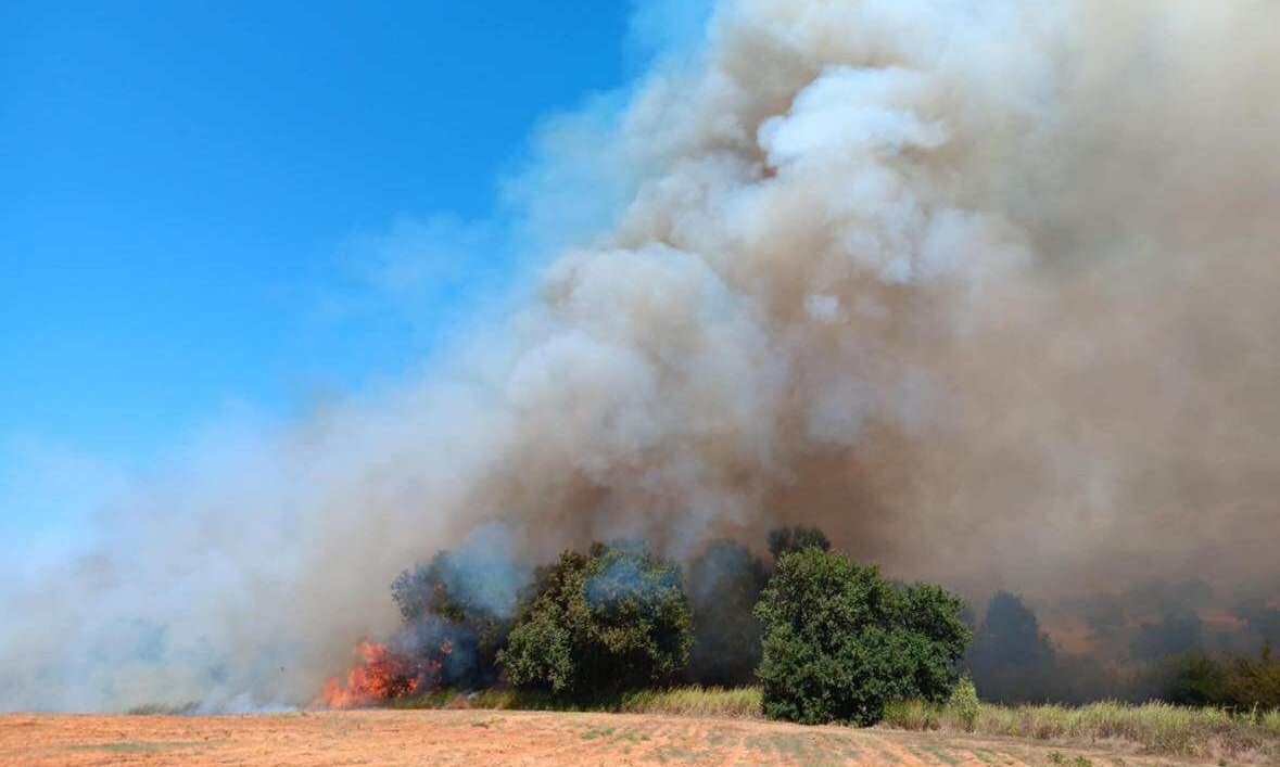 Φωτιά στο Πηγάδι Τραγανού: Στάχτη 20 στρέμματα αγροτοδασικής έκτασης