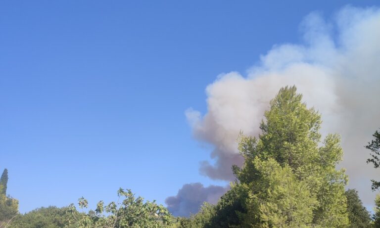 Φωτιά τώρα στην περιοχή Τρελάγκαθα Αιτωλοακαρνανίας – Μήνυμα 112 για απομάκρυνση προς Μεσολόγγι
