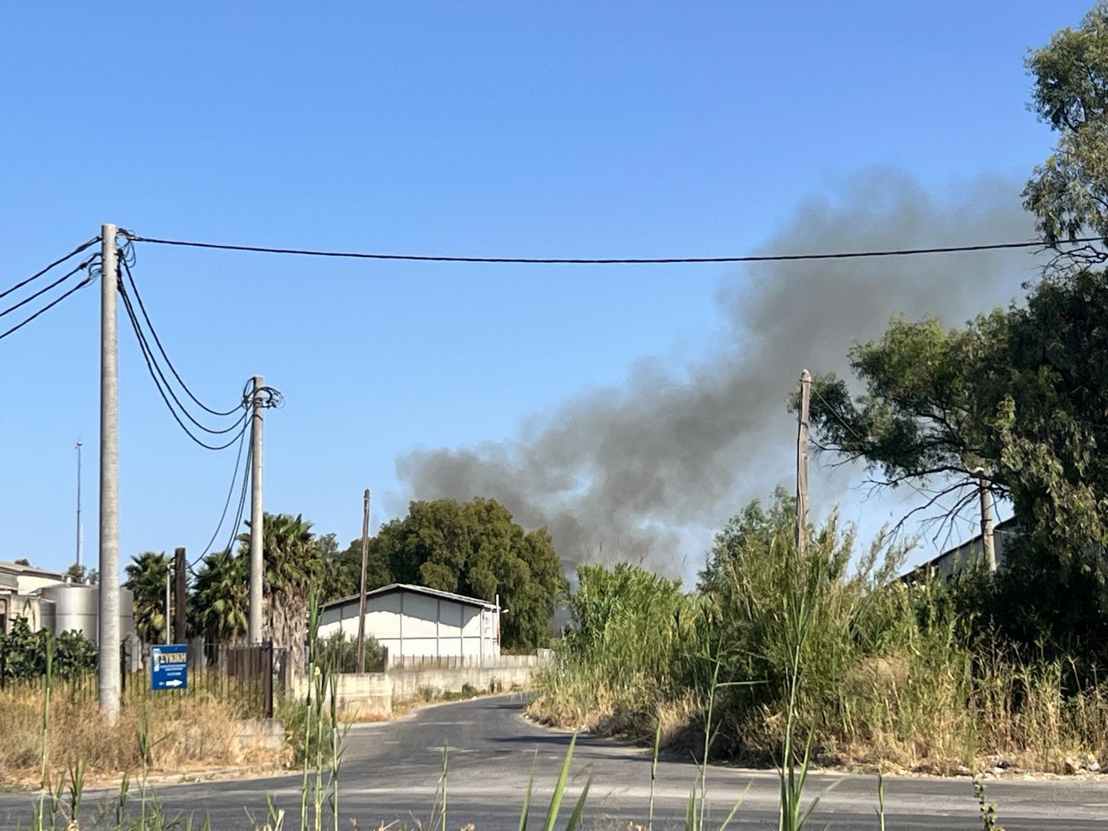 Καλαμάτα: Συναγερμός στην πυροσβεστική για φωτιά κοντά στο συνοικισμό «Παναγάκια» στο Ασπρόχωμα