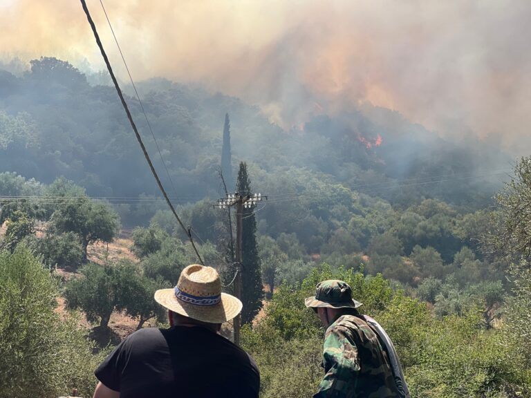 Μεσσηνία: 1.500 στρέμματα στάχτη στα Πετράλωνα – Έρευνα για τα αίτια της πυρκαγιάς