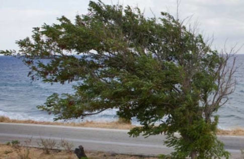 Σπίτια στις φλόγες στο Πόρτο Γερμενό – ΄Ηχησαν 112 για απεγκλωβισμούς με πλωτά μέσα και εκκένωση της Ψάθας