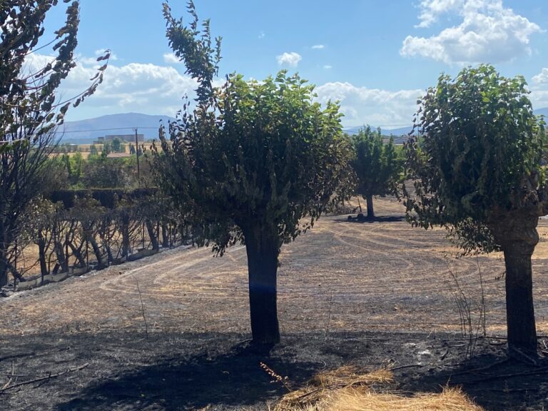 Στο δημοτικό συμβούλιο Σικυωνίων το θέμα της αποκατάστασης των περιοχών της Στυμφαλίας και του Φενεού