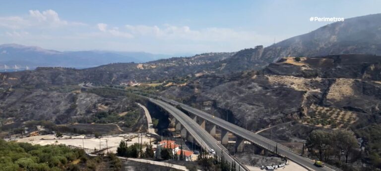 Πάτρα: Δυσοίωνες οι προβλέψεις για την αποκατάσταση του περιβάλλοντος στις καμένες περιοχές