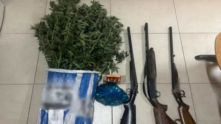 Ζάκυνθος: Συνελήφθη 51χρονος για καλλιέργεια δενδρυλλίων κάνναβης και παράβαση της νομοθεσίας περί όπλων