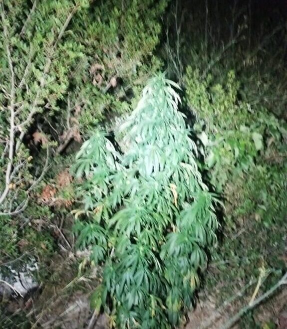 Προφυλακίστηκαν οι 3 κατηγορούμενοι για τη μεγάλη ποσότητα ναρκωτικών στα Χανιά – Κατηγορίες για σύσταση εγκληματικής οργάνωσης