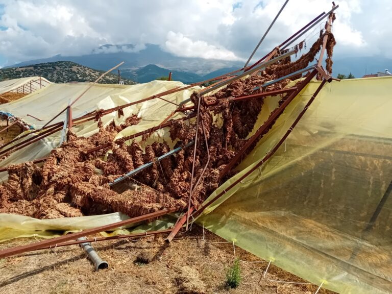 Άμεσες και δίκαιες αποζημιώσεις για τις ζημιές στην Ελασσόνα ζητά με αναφορά του ο Β. Κόκκαλης