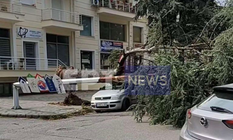 Σαρωτικό μπουρίνι στην Καστοριά – Έπεσαν δέντρα, ζημιές σε αυτοκίνητα και καλλιέργειες