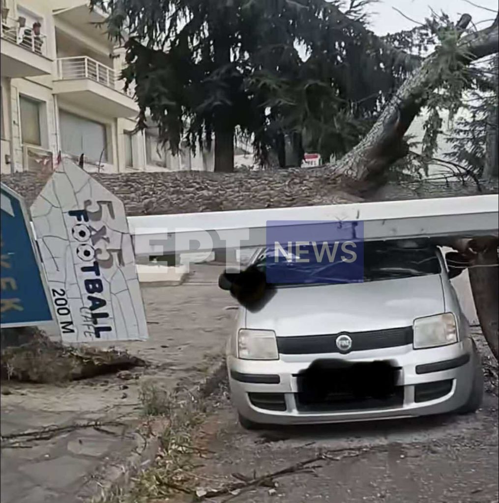 Σαρωτικό μπουρίνι στην Καστοριά – Έπεσαν δέντρα, ζημιές σε αυτοκίνητα και καλλιέργειες