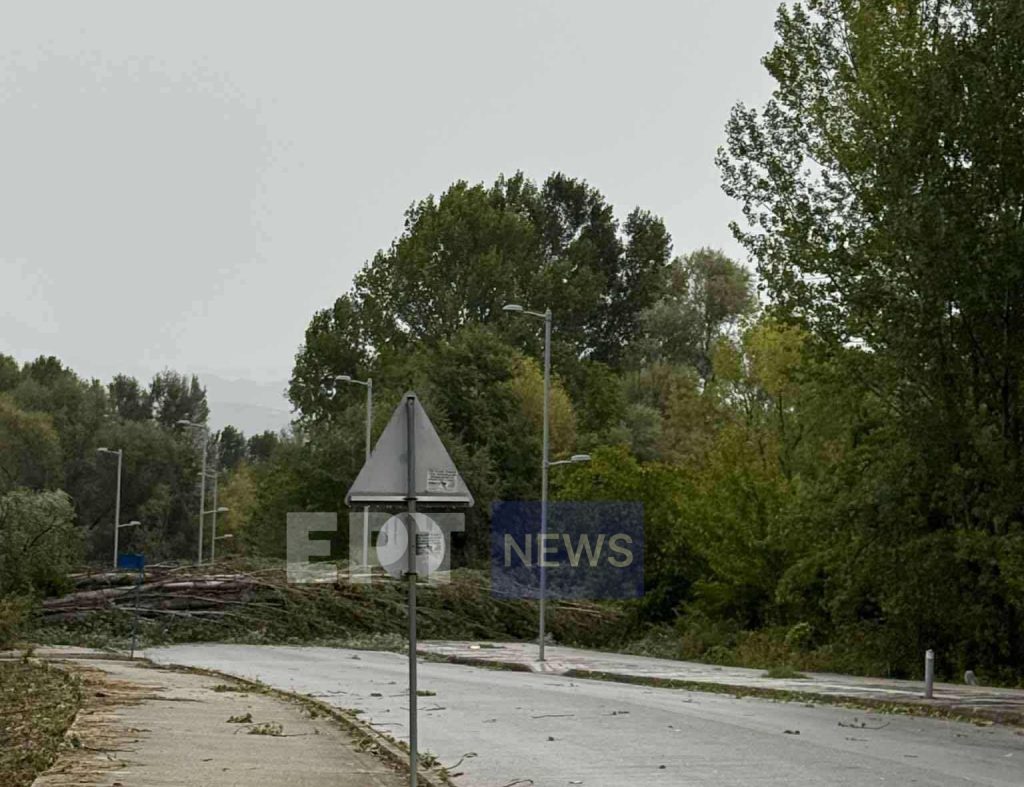Σαρωτικό μπουρίνι στην Καστοριά – Έπεσαν δέντρα, ζημιές σε αυτοκίνητα και καλλιέργειες