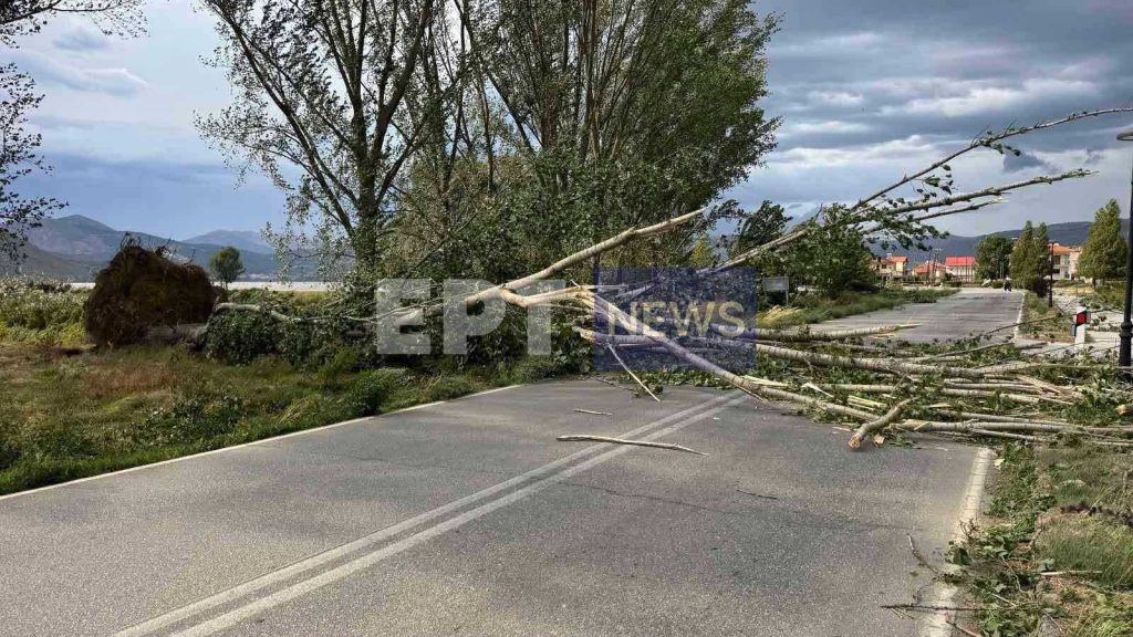 Σαρωτικό μπουρίνι στην Καστοριά – Έπεσαν δέντρα, ζημιές σε αυτοκίνητα και καλλιέργειες
