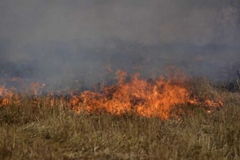 Εκδηλώσεις μνήμης για τα 83 χρόνια από το Ολοκαύτωμα του Κεφαλοβρύσου