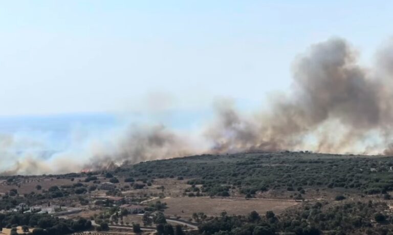 Σε ύφεση η πυρκαγιά στην Κεφαλονιά – Επιχειρούν επίγειες και εναέριες δυνάμεις