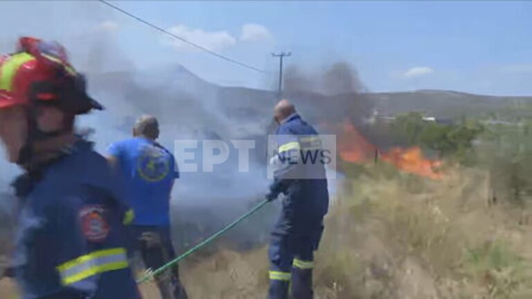 Φωτιά τώρα στην Κερατέα: Μήνυμα του 112 για απομάκρυνση από Χάρβαλο και Δροσιά – Κυκλοφοριακές ρυθμίσεις στην περιοχή