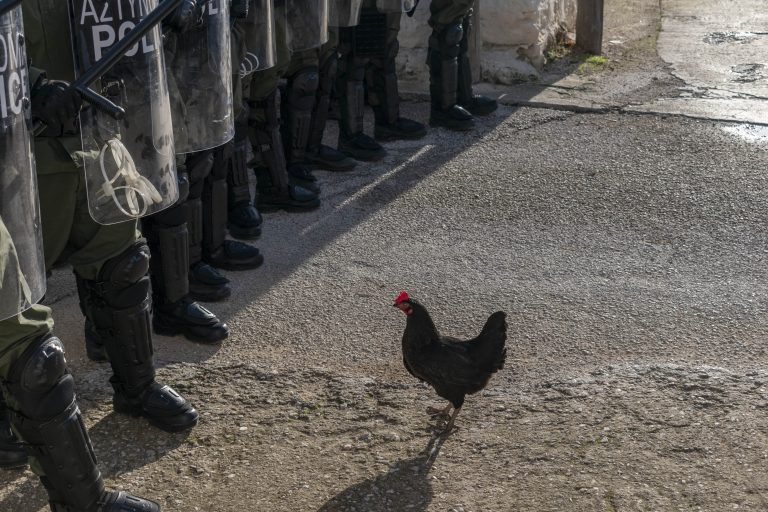 «Η Κότα» του Γιόργκι πάει στο Φεστιβάλ του Σαν Σεμπαστιάν για την ευρωπαϊκή πρεμιέρα