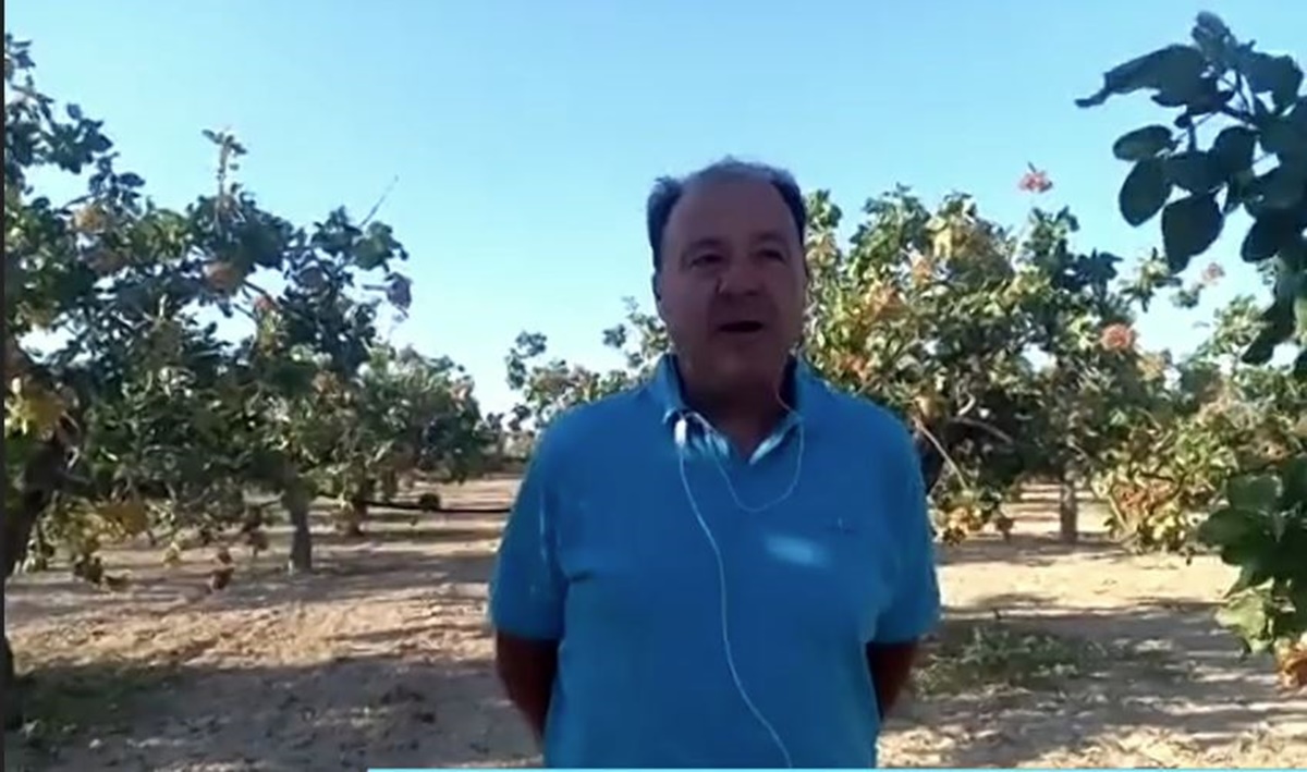kounadis