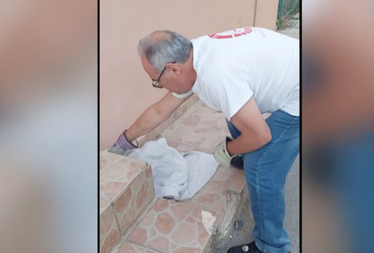 Πρόσκοποι Βόλου: Αξιοσημείωτο το αποτύπωμά τους στην προστασία του φυσικού περιβάλλοντος