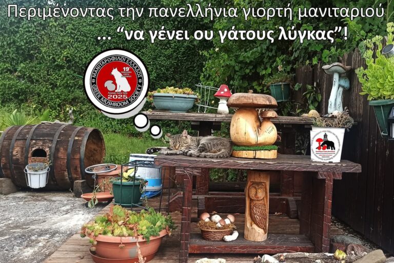 Γρεβενά: 19η Πανελλήνια Γιορτή Μανιταριού