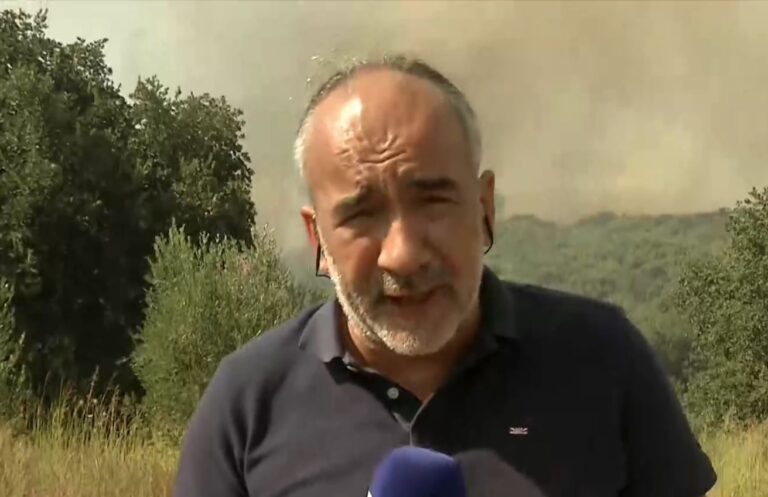 Φωτιά στα Λεχαινά Ηλείας – Το ΕΡΤΝews στο πύρινο μέτωπο