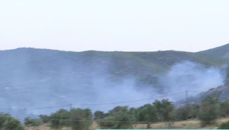 Φωτιά τώρα στα Μέγαρα: Καίει χαμηλή βλάστηση – Ξεκίνησαν οι εναέριες ρίψεις