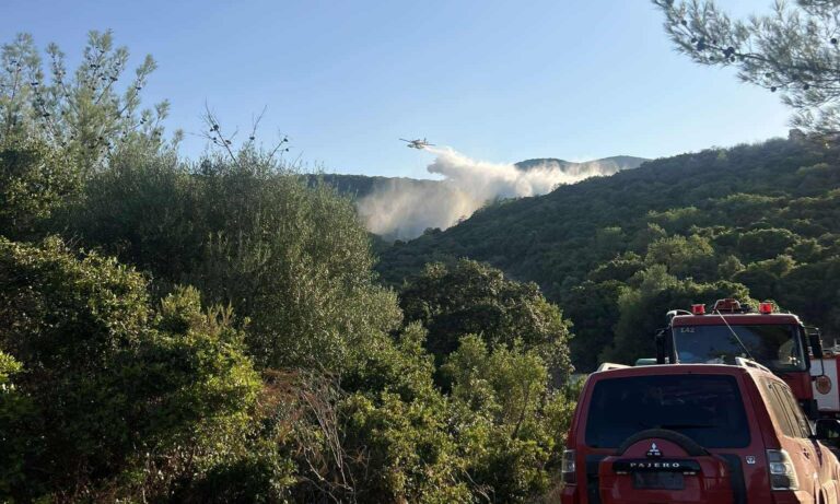 Σε ύφεση η φωτιά στα Πετράλωνα της Μεσσηνίας – Συνεχίζουν να επιχειρούν οι πυροσβεστικές δυνάμεις