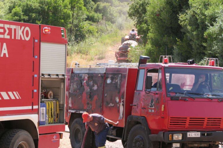 Φωτιά τώρα σε δασική έκταση στη Θεσπρωτία