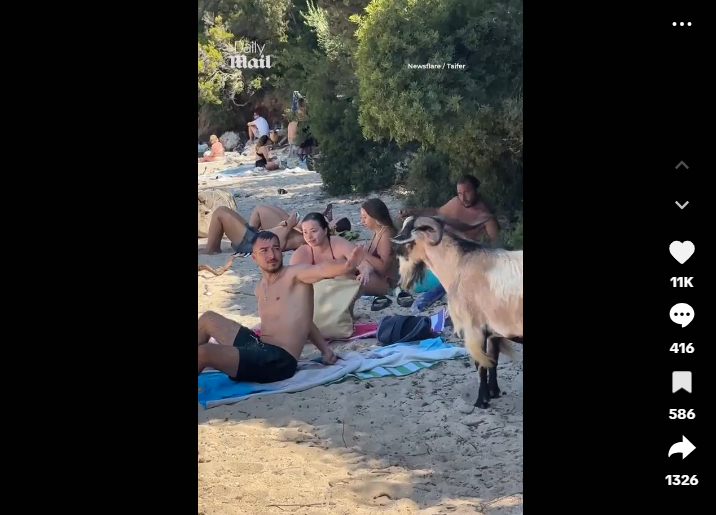 Ο… “bon vivant” της Μπέλλα Βράκα που ήπιε μοχίτο και έγινε viral