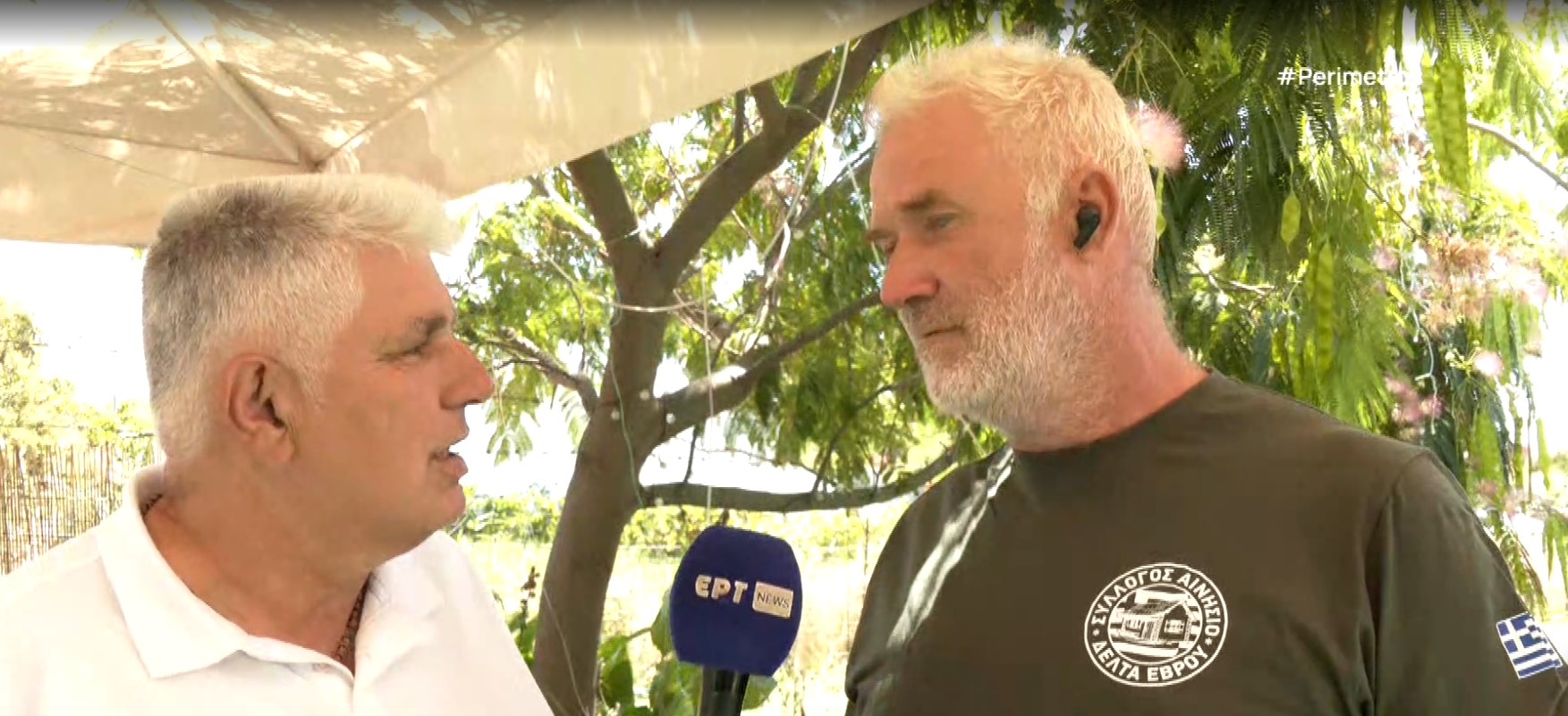 Έβρος: 150 άγρια άλογα βρίσκονται αποκλεισμένα χωρίς νερό σε νησίδα του Έβρου