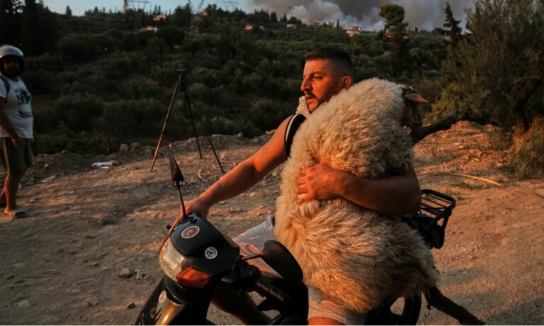 Ο Όλσι που έσωσε τη Μέλπω στο Πρώτο: Όντως είχε καταλάβει ότι την έσωζα – Το κατάλαβα γιατί έβλεπα ένα χέρι να με ακουμπάει στον ώμο (audio)