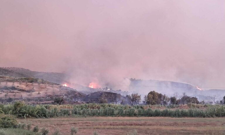 Φωτιά τώρα στο Χελιδόνι Αρχ. Ολυμπίας – Μήνυμα από το 112 για απομάκρυνση προς Πύργο