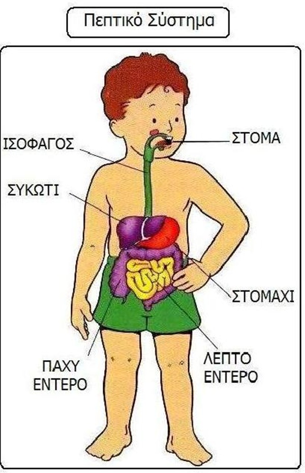 Ιωάννινα: Η Ζωσιμαία Βιβλιοθήκη συμμετέχει στην εθνική δράση κατά της παιδικής παχυσαρκίας