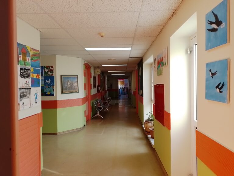 Πτολεμαΐδα: Πρόγραμμα καθολικού προληπτικού ελέγχου βαρηκοΐας με ωτακουστικές εκπομπές στην Παιδιατρική κλινική του Μποδοσάκειου Νοσοκομείου 