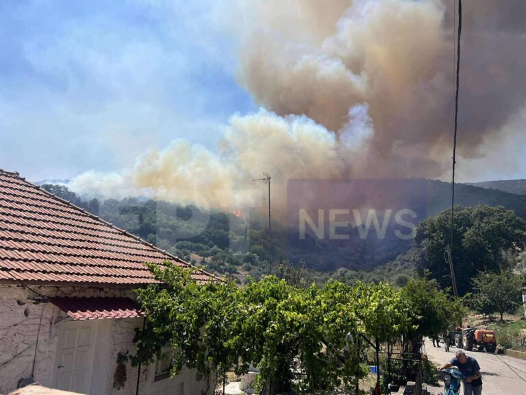 Πυρκαγιά τώρα στα Πετράλωνα του Δήμου Μεσσήνης – Απειλούν τα πρώτα σπίτια του χωριού οι φλόγες – “112” για ετοιμότητα – Επιχειρούν εναέρια μέσα