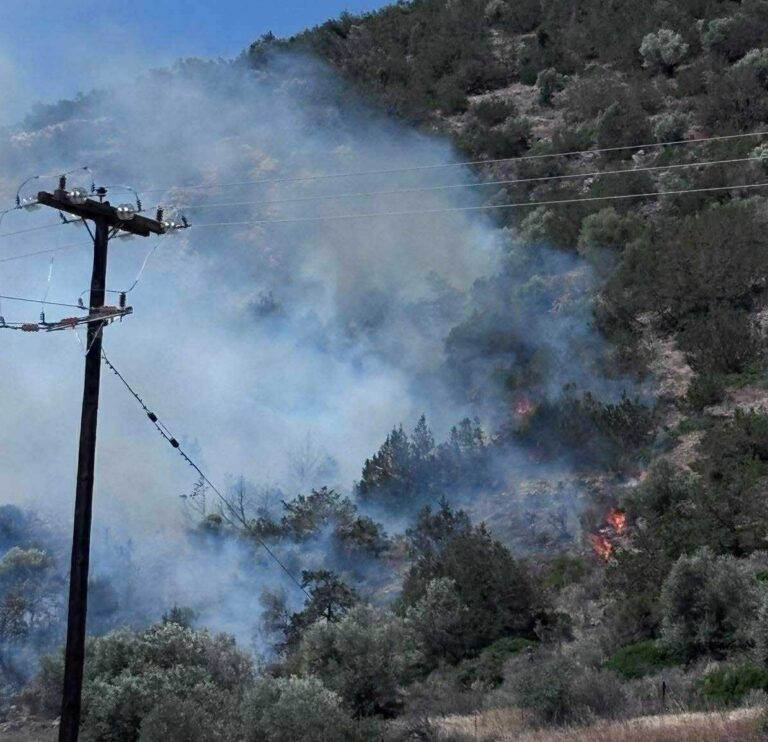 Φωτιά τώρα: Κινητοποίηση στο Καλό Πηγάδι Φωκίδας – Χάρτης κινδύνου για Τρίτη 19/08