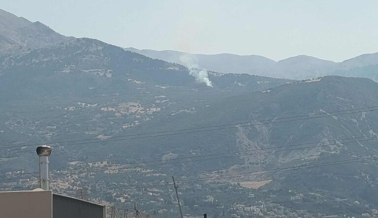 Πυρκαγιά τώρα σε δασική έκταση στα Μιτζαίικα Αχαΐας – Επιχειρούν και εναέρια μέσα