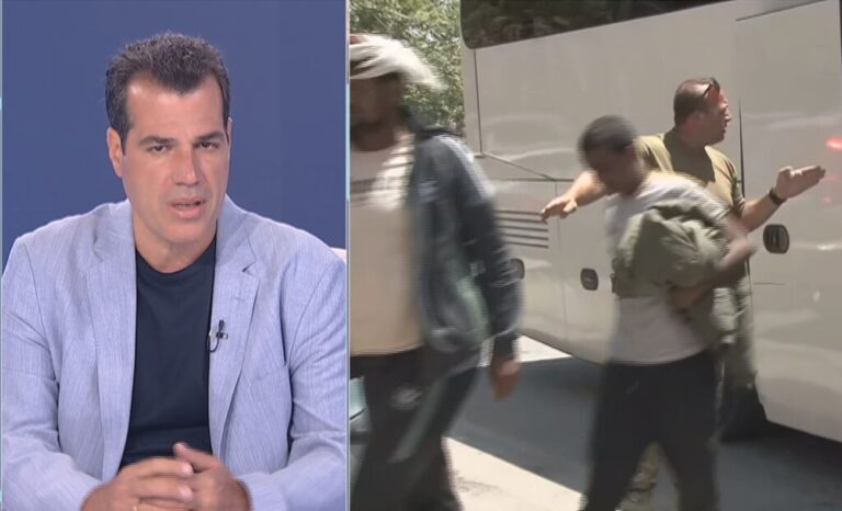 Θ. Πλεύρης στο ΕΡΤNews: Όποιος μπαίνει παράνομα στην Ελλάδα κινδυνεύει με φυλάκιση 2 έως 5 χρόνια, εκτός εάν επιστρέψει
