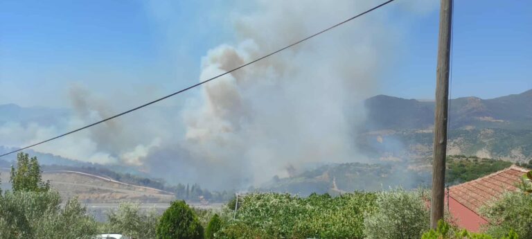 Φωτιά τώρα σε δασική έκταση στον Γυμνότοπο Πρέβεζας – Ήχησε το 112 – Ζητά εκκένωση προς Κερασώνα
