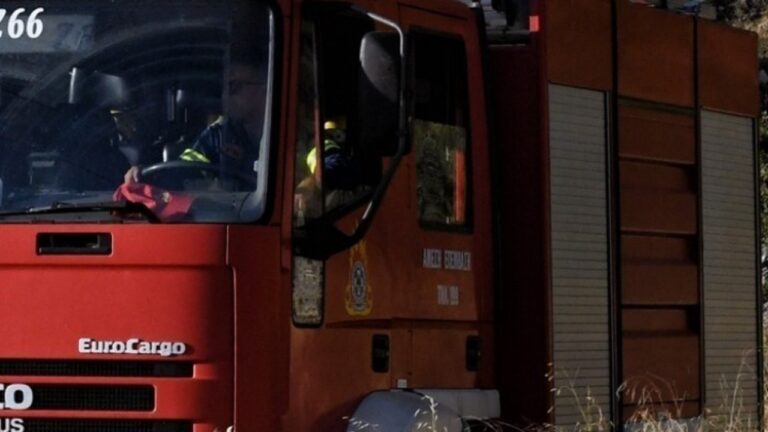 Χαλκιδική: Υπό μερικό έλεγχο η πυρκαγιά στο Στρατώνι